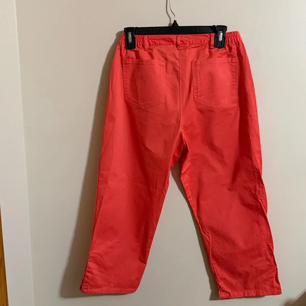 Capris - Picture 4 of 5